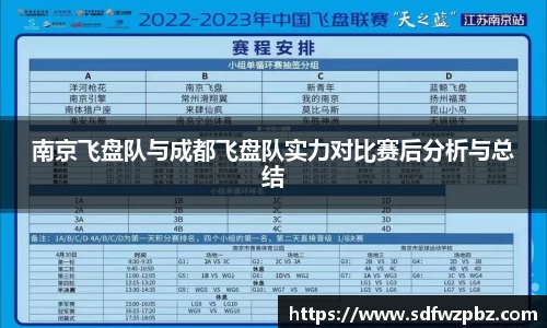 南京飞盘队与成都飞盘队实力对比赛后分析与总结